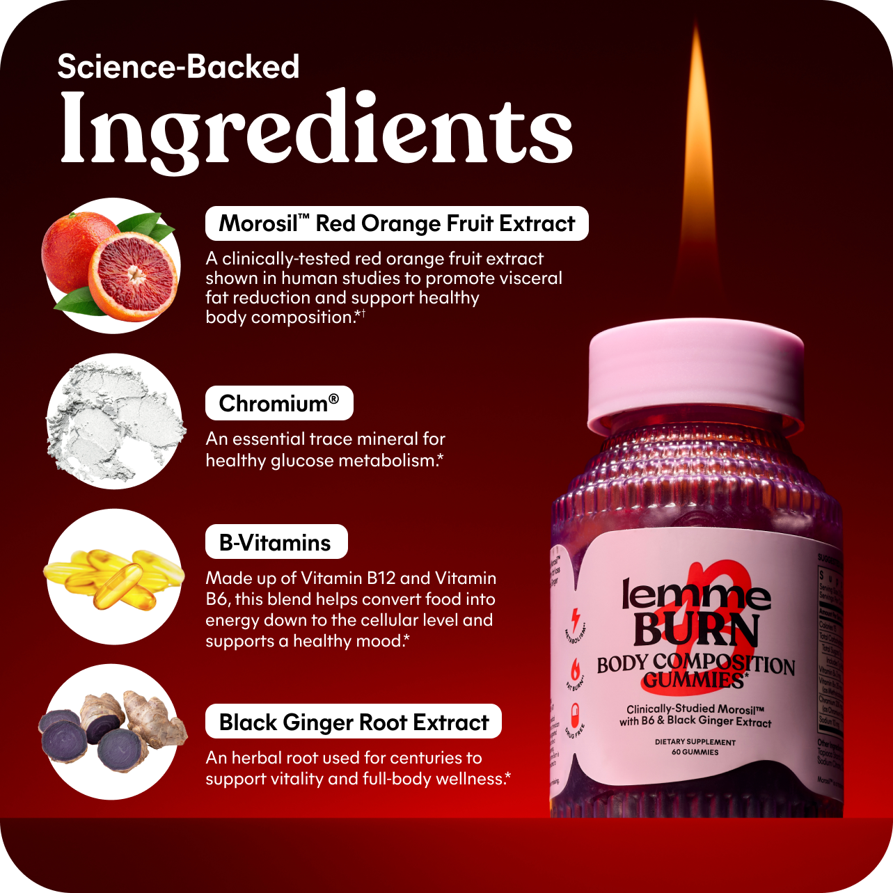 Burn Boost Bundle - Nighttime Routine Drink Mix