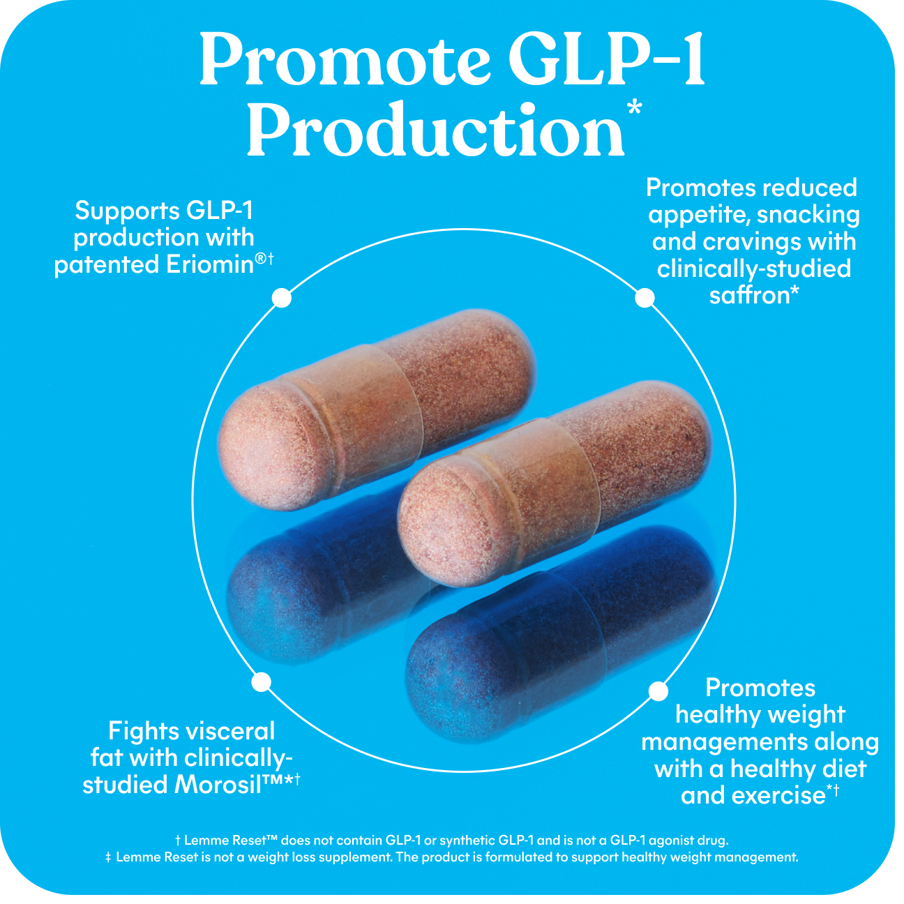 Lemme Reset™ GLP-1 Production Support Capsules - Light Easy Routine Gummies