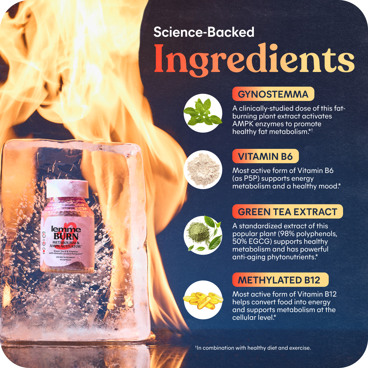 Lemme Burn Capsules - Pantry Ready Wellness Pack