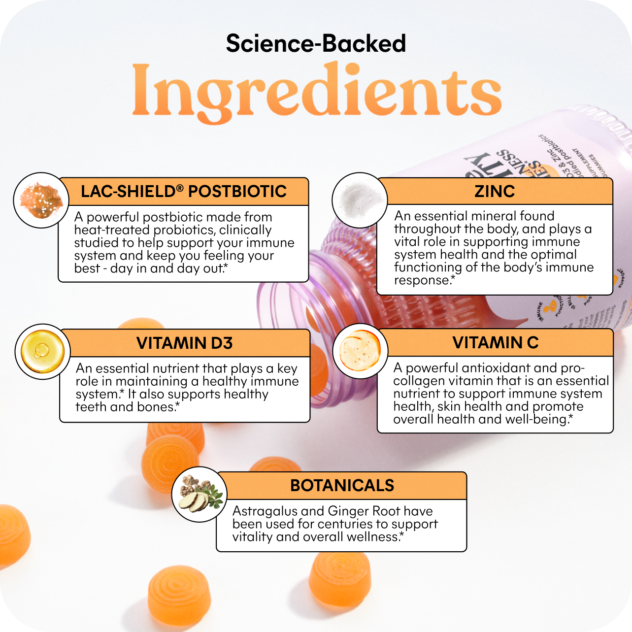 Lemme Immunity Gummies - Routine Ready Lifestyle Gummies