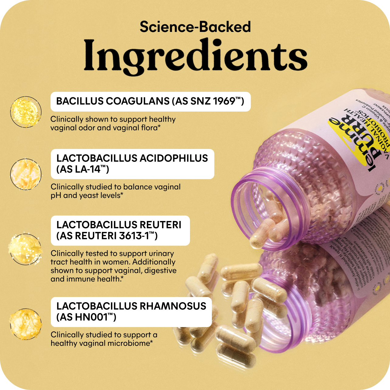 Lemme Purr Capsules - Routine Ready Powder Drink Mix